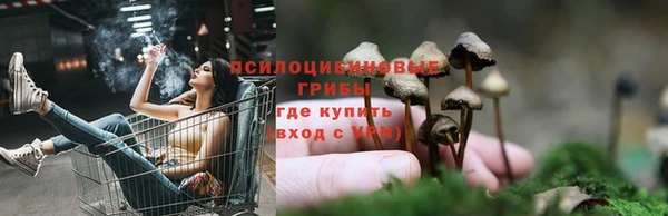 тгк Алексеевка