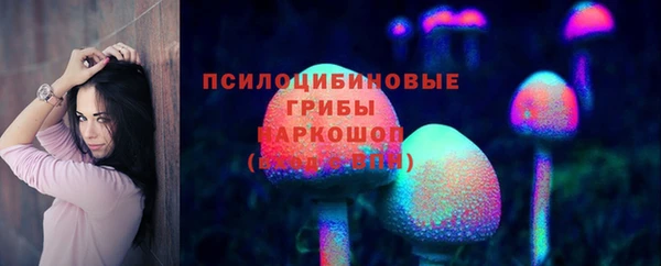 дмт Алексин