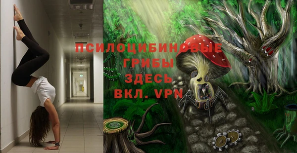 тгк Алексеевка