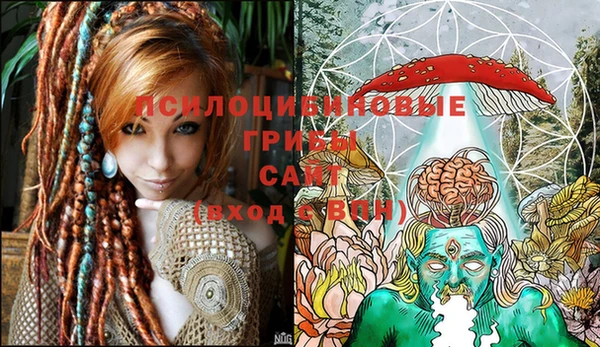 тгк Алексеевка