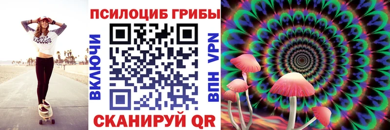 где купить наркоту  Малаховка  Галлюциногенные грибы прущие грибы 